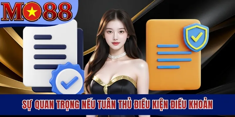 Sự quan trọng nếu tuân thủ điều kiện điều khoản