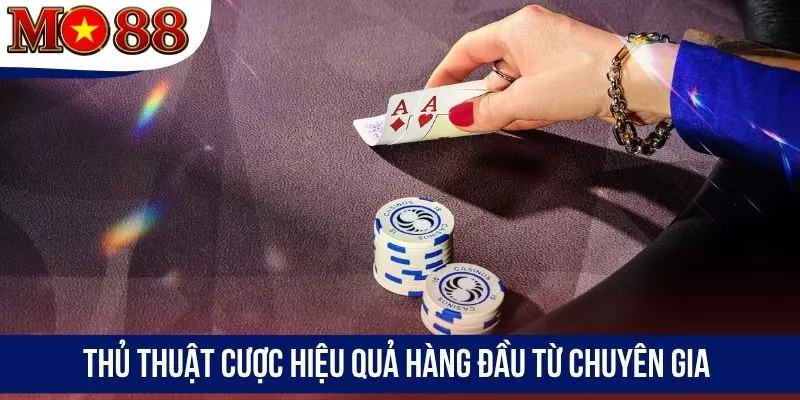 Thủ thuật cược hiệu quả hàng đầu từ chuyên gia