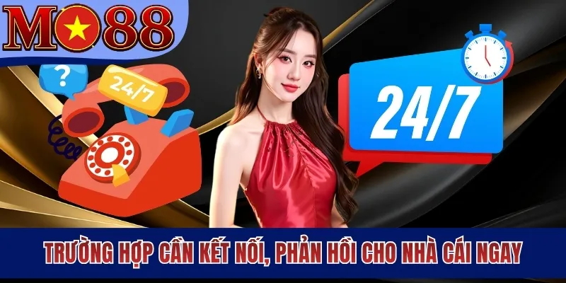 Trường hợp cần kết nối, phản hồi cho nhà cái ngay